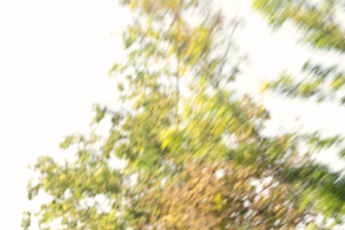 Estos son los autos más llamativos si Stellantis fuera una marca