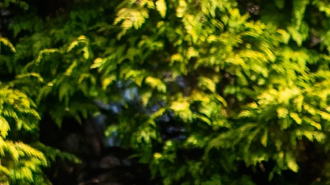 Carros deportivos japoneses más icónicos de la historia