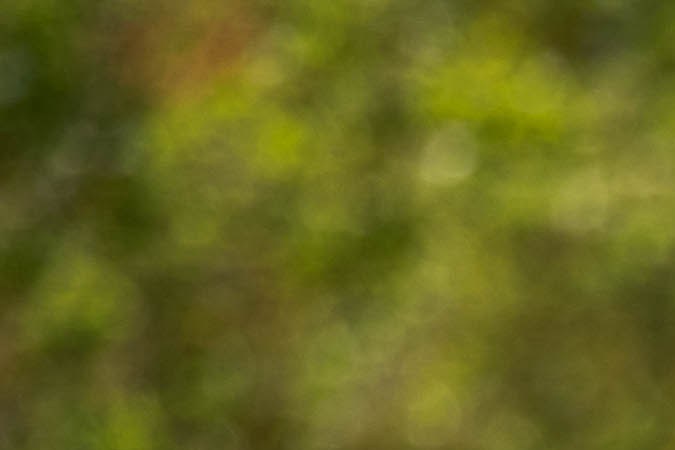 Honda S 2000: el icónico deportivo que duró 10 años