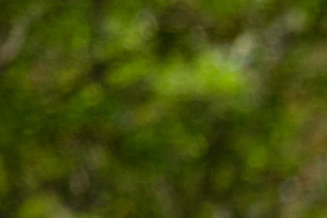 Honda S 2000: el icónico deportivo que duró 10 años