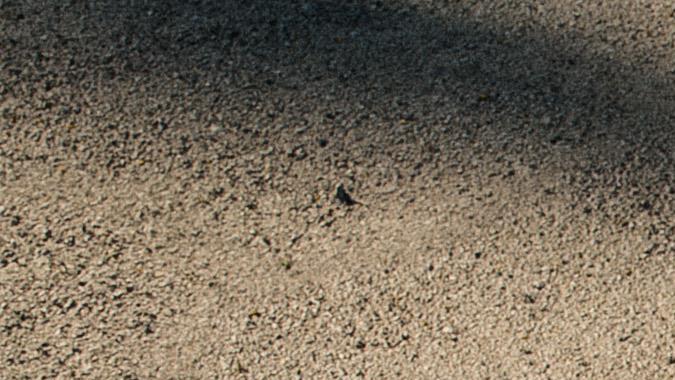 Lamborghini Temerario: el nuevo deportivo que hará historia