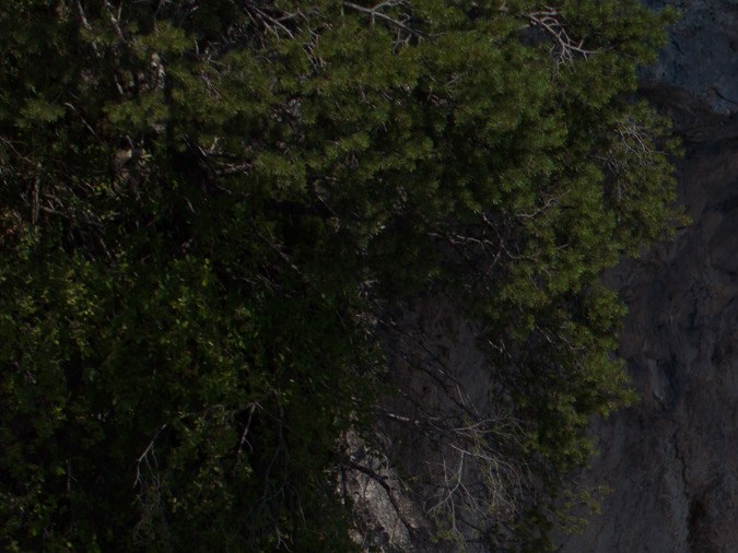 MARSIEN: El superdeportivo todoterreno de Marc Philipp Gemballa