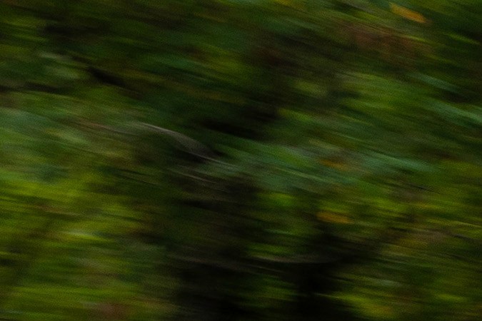 Mercedes Benz AMG revela pruebas de su concepto PureSpeed