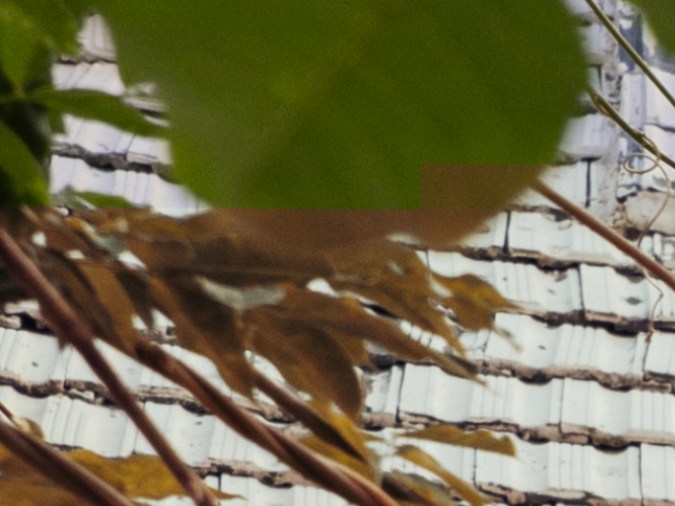 NETA Auto desembarca en México: la nueva era de la electromovilidad