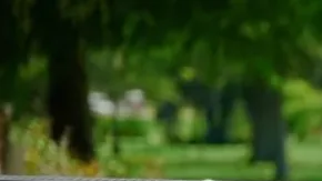 Rivian Travel Kitchen