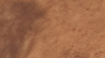 ¿Se pueden reparar los amortiguadores del auto?