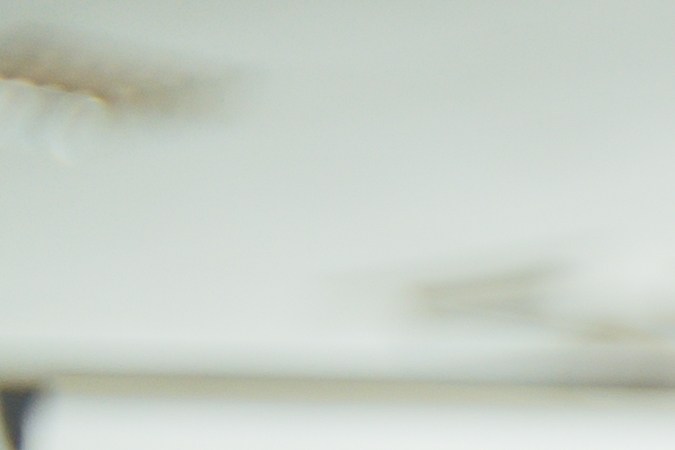 auto ideal para tu presupuesto en Estados Unidos