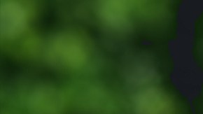 Híbrido o eléctrico: 10 puntos para elegir el mejor para ti