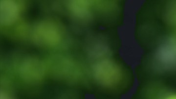 Híbrido o eléctrico: 10 puntos para elegir el mejor para ti