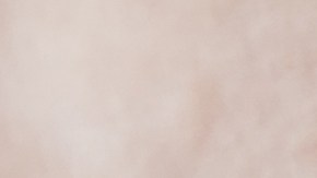 Car breathalyzer que es