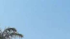 BYD lanza un compacto que se suma a su catálogo eléctrico