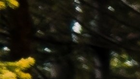 Tres camionetas con motor V8 que reinan sobre las eléctricas