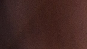 cita para licencia de conducir en kentucky