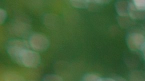 Detecta vicios ocultos en autos usados: la guía definitiva