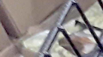 productos de auto en dollar tree