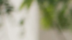 Enfermedades que afectan al conducir