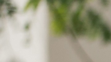 Enfermedades que afectan al conducir