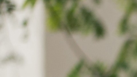 Enfermedades que afectan al conducir