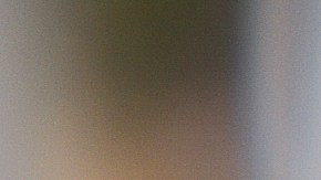 inhibidor de señal para auto