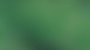 como remolcar un auto legalmente en estados unidos