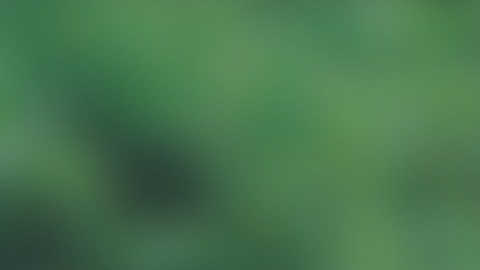 como remolcar un auto legalmente en estados unidos