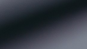 licencia adultos mayores massachusetts