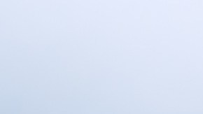 marcas de aceite para volante de carro