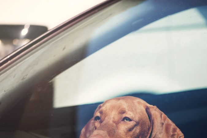 ¿Cuánto se calienta?: el riesgo de dejar tu auto al sol