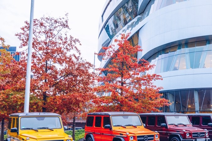 ¿Cuáles son las 5 marcas con los clientes más fieles?