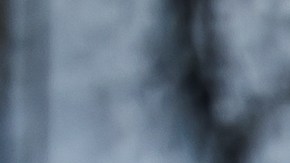 FIA prohíbe una nueva trampa que hacían equipos en la F1