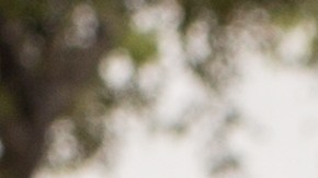 conducir sin licencia en florida