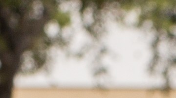 conducir sin licencia en florida