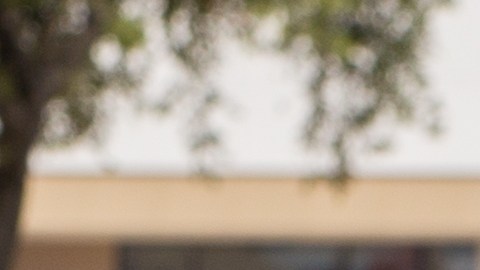 conducir sin licencia en florida