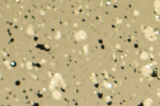 placas que se probíben en Florida