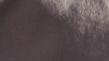 Pulido y encerado del auto: ¿En qué se diferencian y cuándo hacer cada uno?