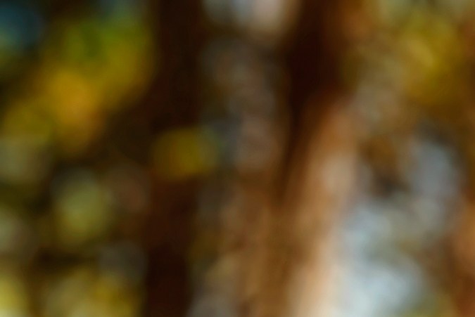 Cómo empezar a conducir una cuatrimoto de forma segura y divertida