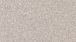 Seguro de auto en estos 3 estados podría duplicarse en 2024