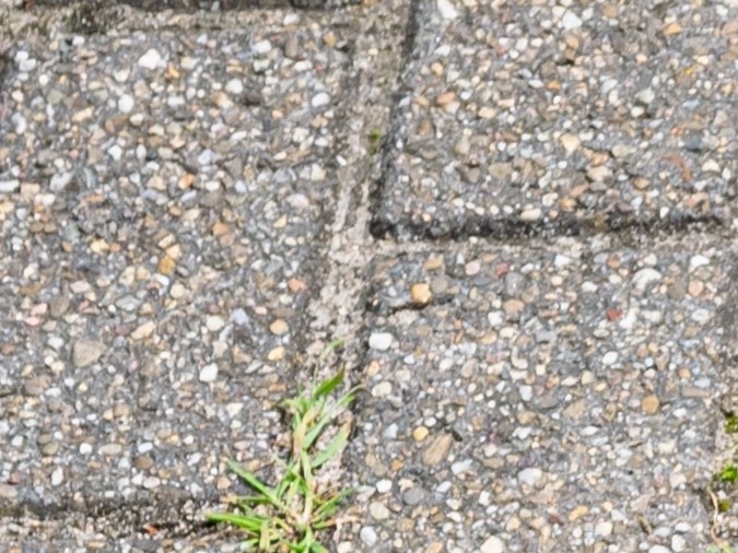 señales de tráfico para autos eléctricos