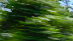 Subaru Crosstrek GT 2025: Potencia y estilo en un solo SUV