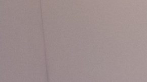 ¿Cuáles son las 5 marcas con los clientes más fieles?