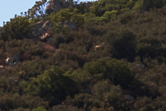 2025 Volkswagen Taos