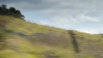 Honda Civic Hatchback Hybrid 2025