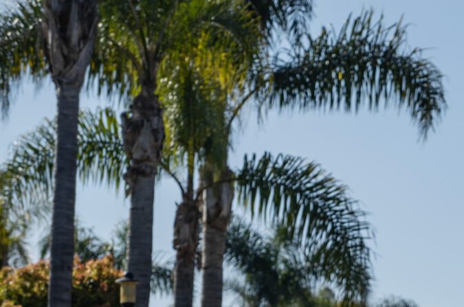 Toyota renueva su híbrido estrella: conoce el Prius Plug-in Hybrid 2025