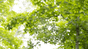 Chevrolet presenta la nueva Silverado con su mismo poder