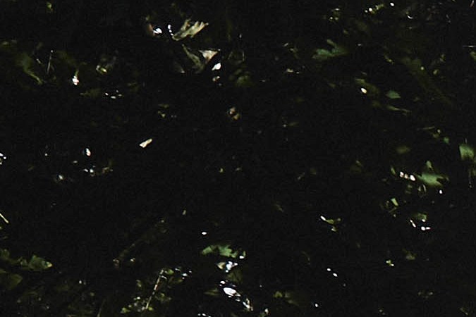 DS Automobile revive el legendario SM con este concept car