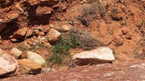 Jeep elimina la transmisión manual de la Gladiator 2025