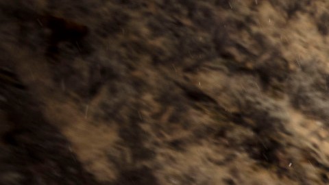 Jeep actualiza los Wrangler 2025 para más aventuras