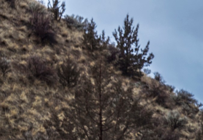 Jeep actualiza los Wrangler 2025 para más aventuras