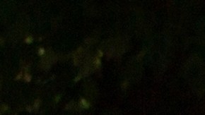 Made in USA: el ranking definitivo de autos 100% americanos