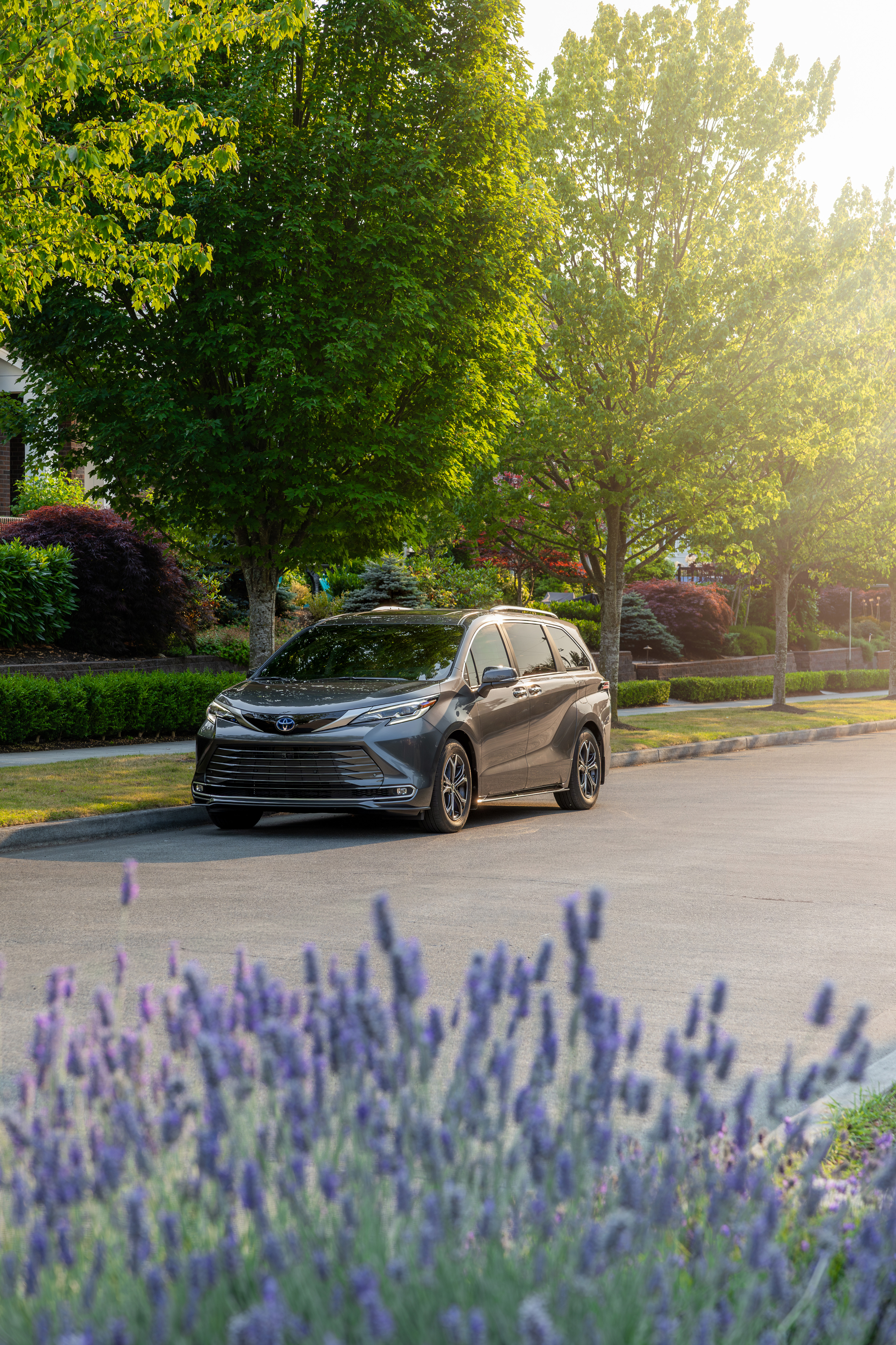 Toyota Sienna 2025